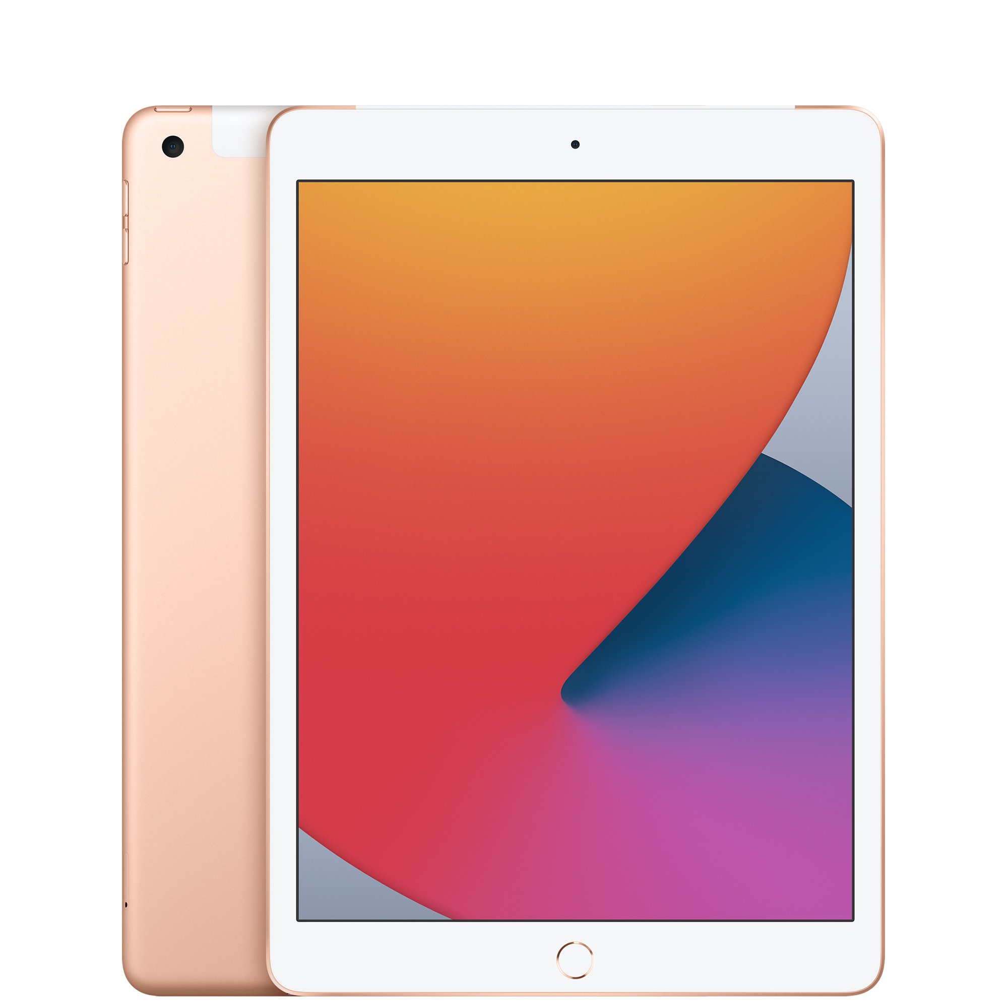 iPad 第6世代 32GB ゴールド A1893 Apple Pen Apple iPad 6th Gen 9.7