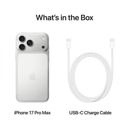 iPhone 17 Pro Max 256GB Silver Like New with Apple Box & Free Screen Protector 100% Battery - Image 3