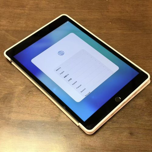 iPad 9th 10.2 inch 256GB Wi-Fi Space Grey Good Grade with Free Flip Case Special Deal - Image 3