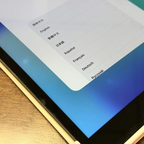iPad 9th 10.2 inch 256GB Wi-Fi Space Grey Good Grade with Free Flip Case Special Deal - Image 4